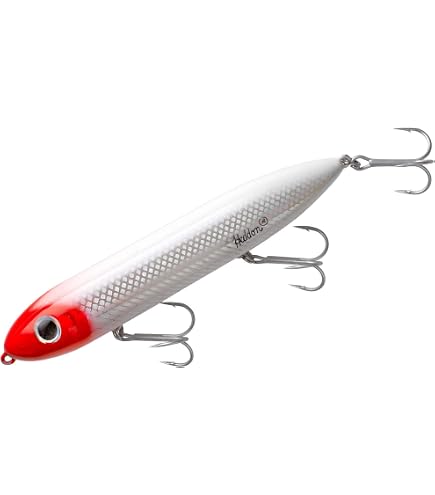 Amazon.com : Heddon Super Spook Topwater Fishing Lure for